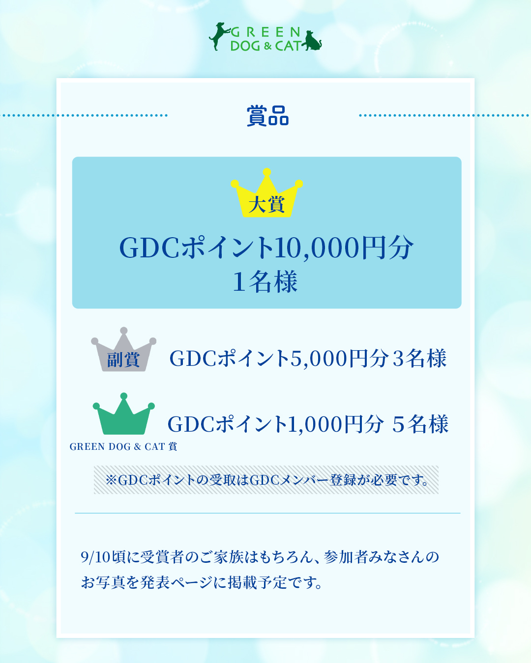 GREEN DOG & CAT 夏の思い出フォトコンテスト2026