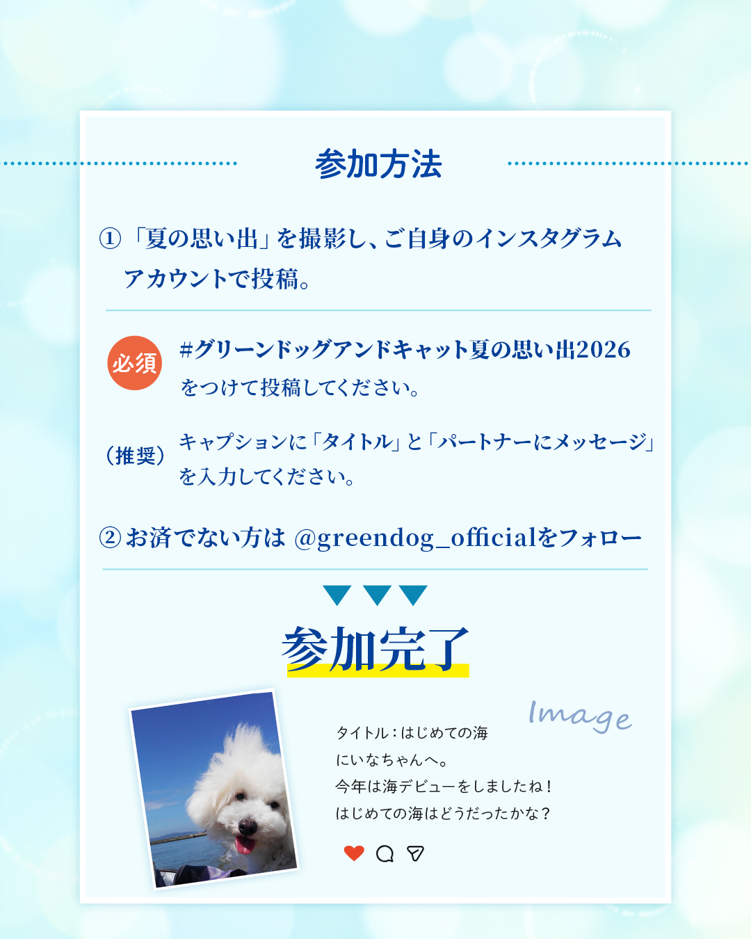 GREEN DOG & CAT 夏の思い出フォトコンテスト2026