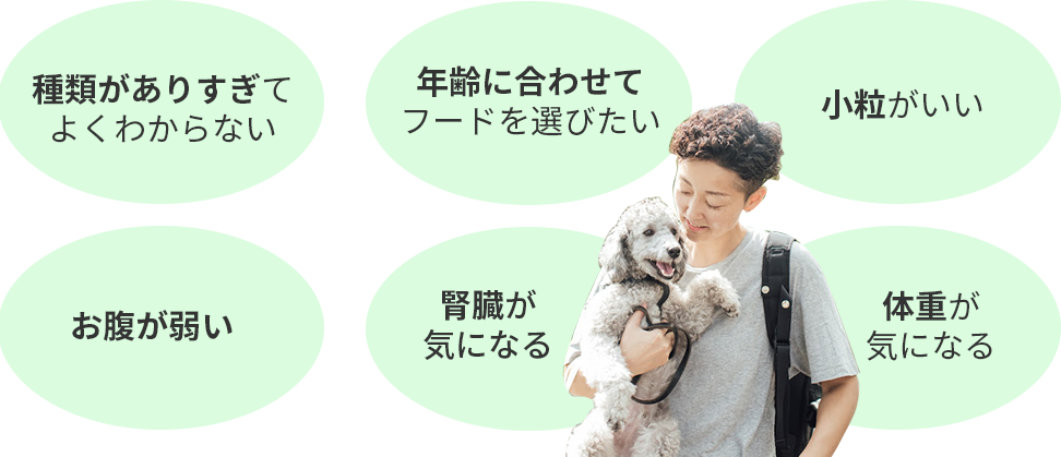 人気ドッグフードお試しセット Green Dog グリーンドッグ 人気ドッグフードお試しセット Green Dog グリーンドッグ