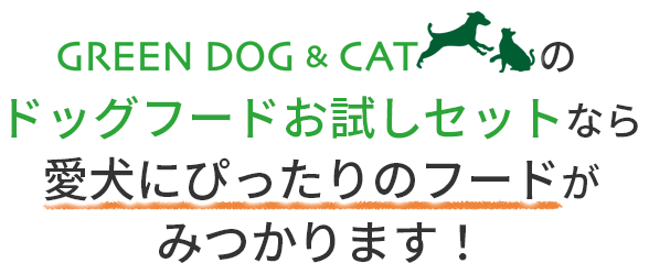 GREEN DOG（グリーンドッグ）のドッグフードお試しセットなら愛犬にぴったりのフードがみつかります！