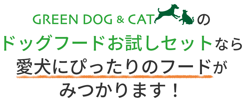 GREEN DOG（グリーンドッグ）のドッグフードお試しセットなら愛犬にぴったりのフードがみつかります！