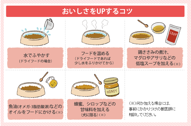 病気の時の食事療法あれこれ シニア犬 老犬 の食事 愛犬の老後にできること By Green Dog