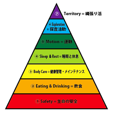 犬の欲求階層