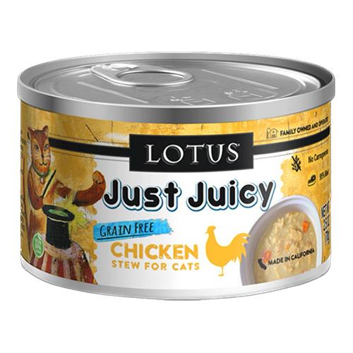 ロータス　キャット　チキンシチュー