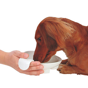 老犬介護用 持ち手付食器