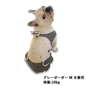 着せるおむつカバー Green Dog グリーンドッグ 公式通販 着せるおむつカバー Green Dog グリーンドッグ 公式通販