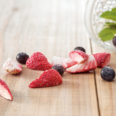 ドットわんの逸品 フリーズドライいちご ブルーベリー 数量限定 Green Dog グリーンドッグ 公式通販