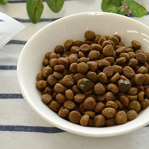 デルモアクティブ キャット 皮膚ケア