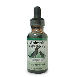 ANESMSHP 00 GREEN DOG CAT