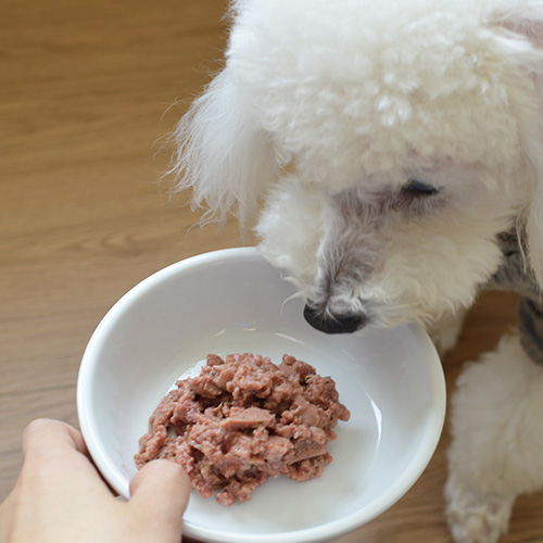 アニモンダ 犬用 フォムファインステン ミニ 鶏・ガチョウ・パセリ 成犬用