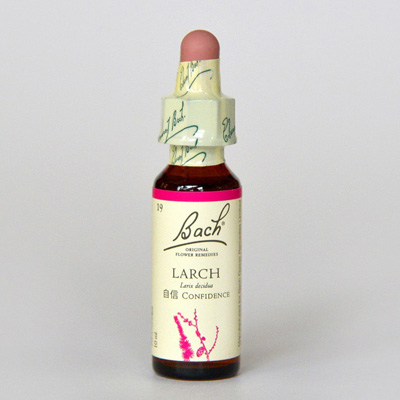 フラワーレメディ　ラーチ(LARCH)