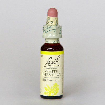 フラワーレメディ ホワイトチェストナット(WHITE CHESTNUT