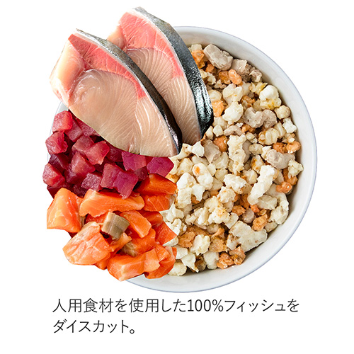 Bowls Fresh Dog Food　フィッシュブレンドミックス