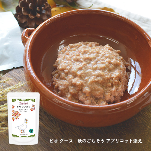 ビオリオーブ　秋のごちそうアソートセット