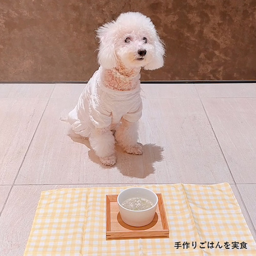 まるっと素材　やわらかイワシ