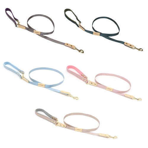 コロンリード【数量限定】