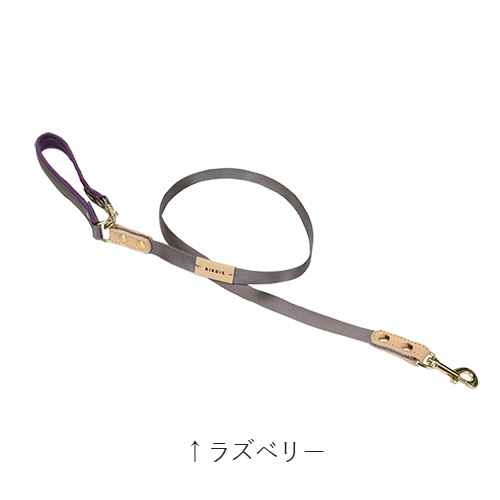 コロンリード【数量限定】