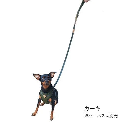 コロンリード【数量限定】