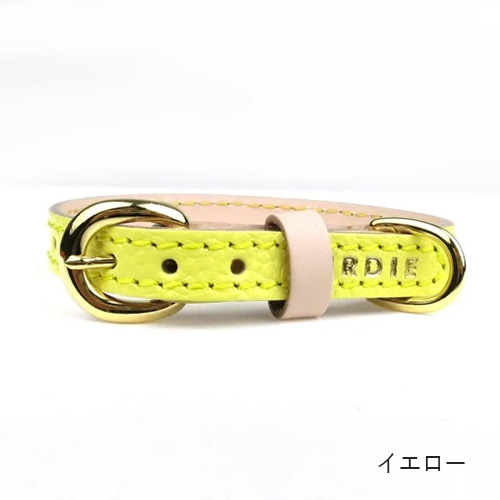 ボニーカラー【数量限定】
