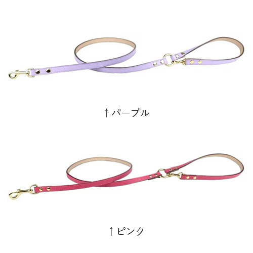 ボニーリード【数量限定】