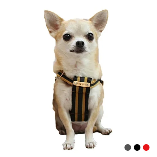ラッセルクッションハーネス【数量限定】