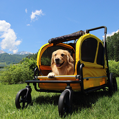 AirBuggy for Dog　キャリッジ　セット