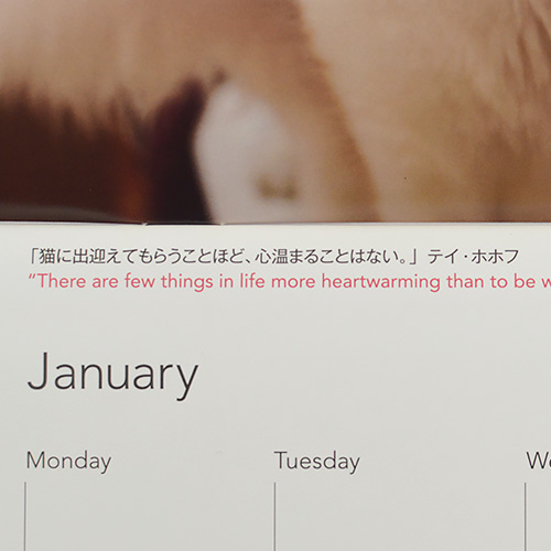 ARKカレンダー2025　壁掛けタイプ【数量限定】