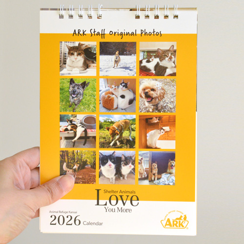 ARKカレンダー2026　卓上タイプ【数量限定】
