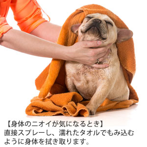 洗わないスプレーシャンプー(犬猫兼用)