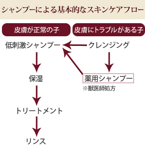 BASICS DermCare モイスチャライズ