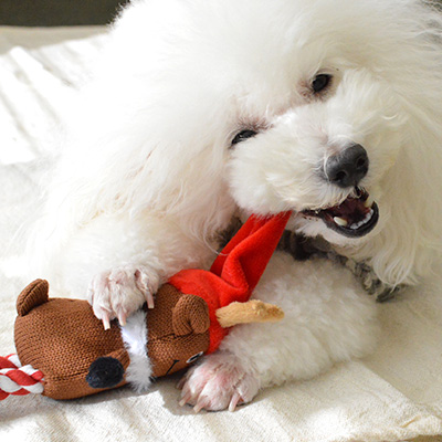 プラッシュトイ・ウィズロープ　ホリデー　トナカイ【数量限定】