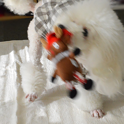 プラッシュトイ・ウィズロープ　ホリデー　トナカイ【数量限定】