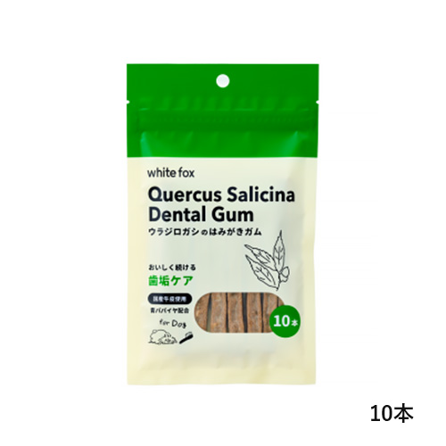 ウラジロガシのはみがきガム