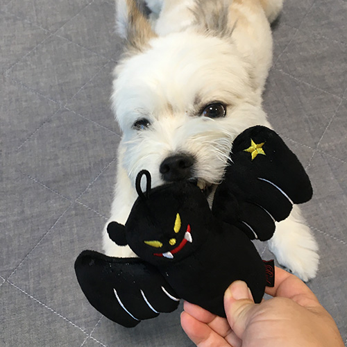 ハロウィントイ【数量限定】