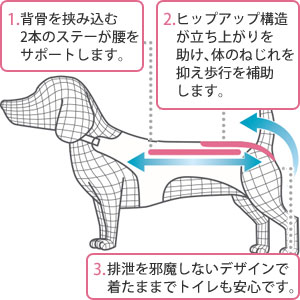 ホロノアサポーター