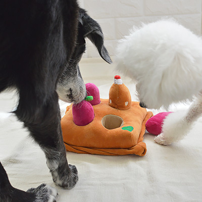 Idog 知育おもちゃ 芋掘り 数量限定 ソノタゲンセン プレミアムドッグフード専門店 Green Dog公式通販