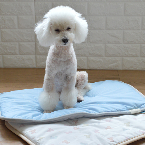 IDOG＆ICAT クールステイマット 接触冷感 抗菌 防臭【数量限定】