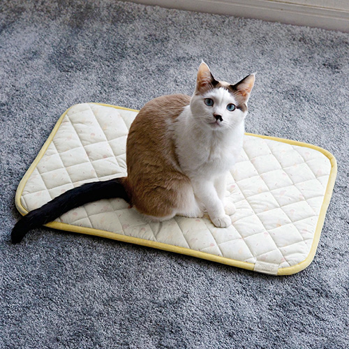 IDOG＆ICAT クールステイキルトマット【数量限定】