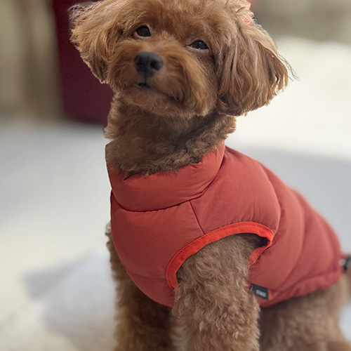 IDOG SHIELD COAT 背中開き 人工羽毛 ふわ軽ジャケット【数量限定】