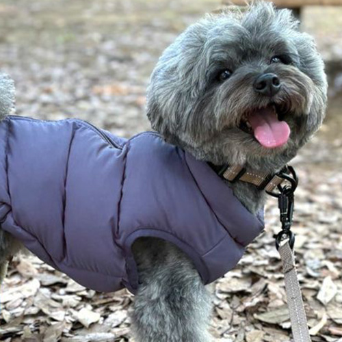 IDOG SHIELD COAT 背中開き 人工羽毛 ふわ軽ジャケット【数量限定】