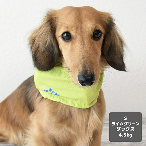 IDOG ICE HOLD ネッククーラー 保冷剤付【数量限定】