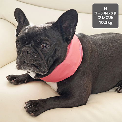 IDOG ICE HOLD ネッククーラー 保冷剤付【数量限定】