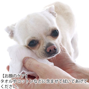 ナチュラル重曹クリーナー(犬用)