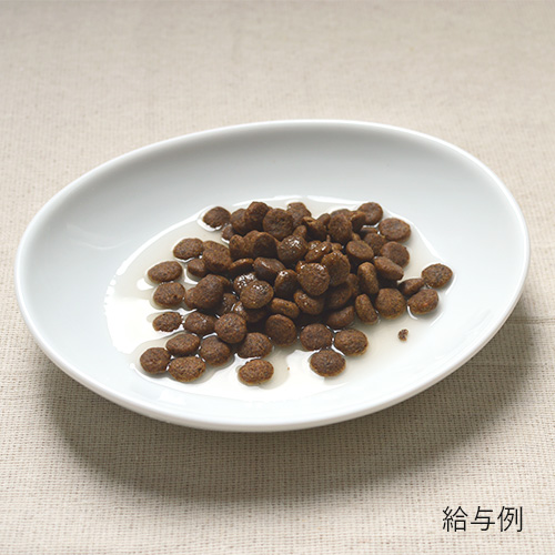 KUUT ボーンブロスグランサーモン　for DOGS＆CATS