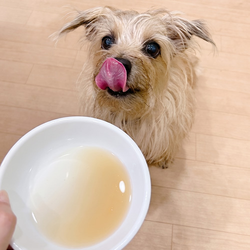 KUUT　ボーンブロス南アルプス天然鹿　for DOGS＆CATS