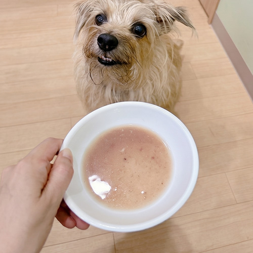 KUUT　ボーンブロス神戸牛牧場六甲姫牛　for DOGS＆CATS