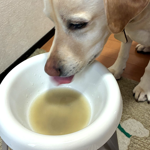 KUUT　宍道湖産　大和しじみブロス　for DOGS＆CATS