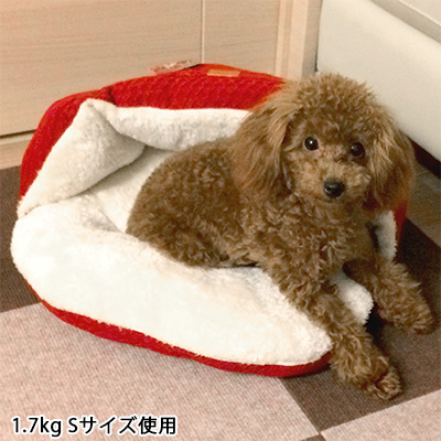 iDog　かくれんぼクッション　キルト