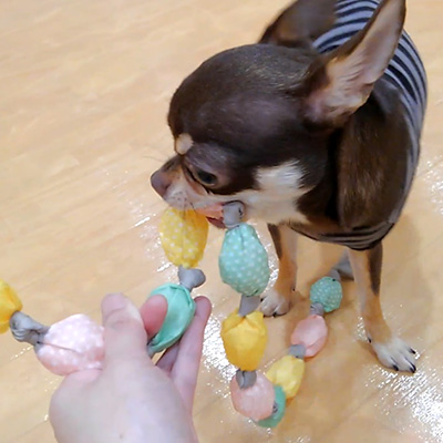 FADキャンディー・チェーントイ【数量限定】