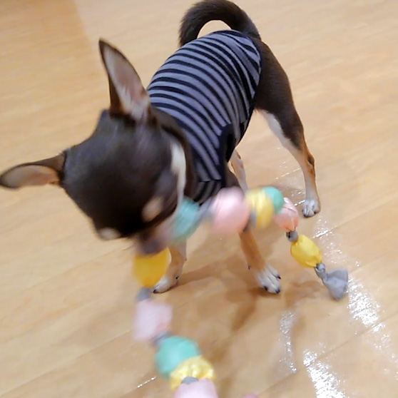 FADキャンディー・チェーントイ【数量限定】